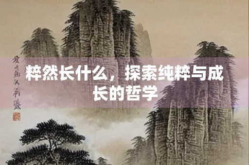粹然长什么,探索纯粹与成长的哲学 粹然长什么,探索纯粹与成长的哲学