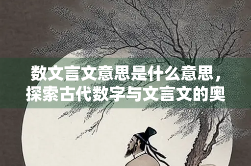 数文言文意思是什么意思，探索古代数字与文言文的奥秘
