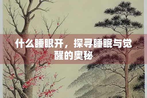 什么睡眼开，探寻睡眠与觉醒的奥秘