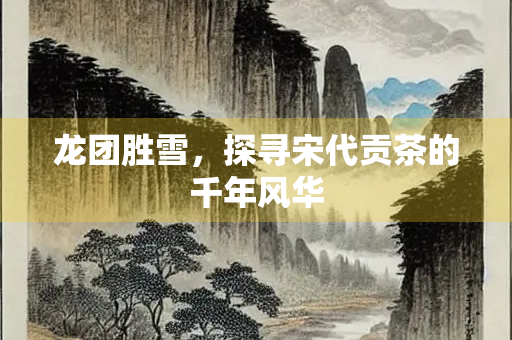 龙团胜雪，探寻宋代贡茶的千年风华