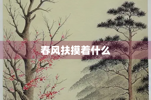 春风扶摸着什么
