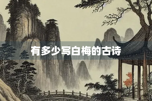 有多少写白梅的古诗