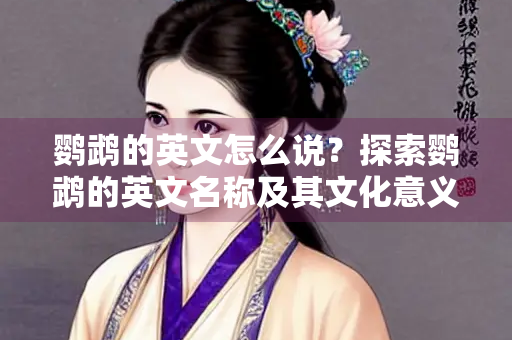 鹦鹉的英文怎么说？探索鹦鹉的英文名称及其文化意义