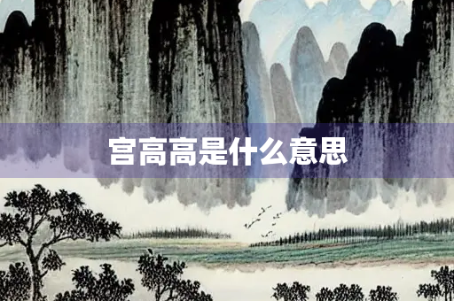 宫高高是什么意思