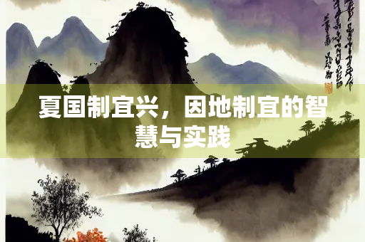 夏国制宜兴，因地制宜的智慧与实践
