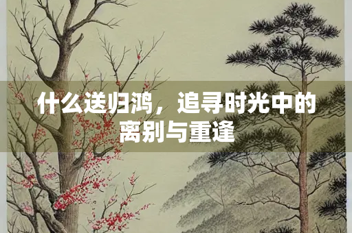 什么送归鸿，追寻时光中的离别与重逢