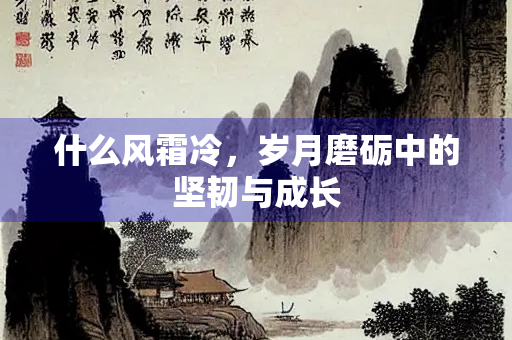 什么风霜冷，岁月磨砺中的坚韧与成长