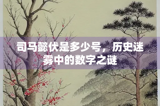 司马懿伏是多少号，历史迷雾中的数字之谜