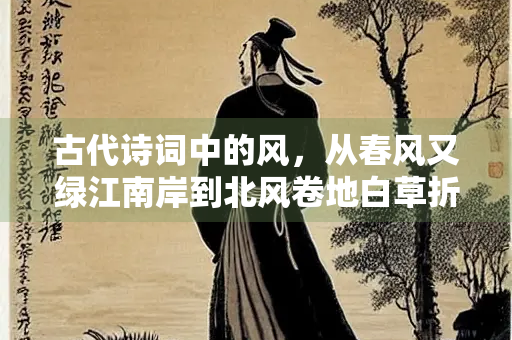 古代诗词中的风，从春风又绿江南岸到北风卷地白草折