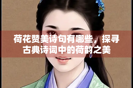 荷花赞美诗句有哪些，探寻古典诗词中的荷韵之美