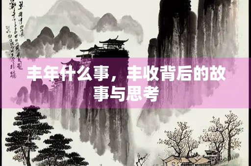 丰年什么事，丰收背后的故事与思考