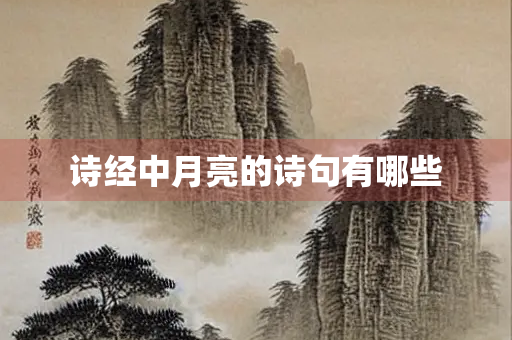 诗经中月亮的诗句有哪些