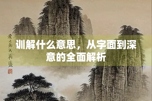 训解什么意思，从字面到深意的全面解析