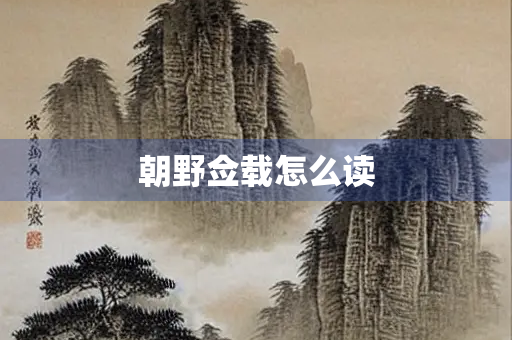 朝野佥载怎么读