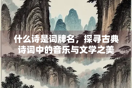 什么诗是词牌名，探寻古典诗词中的音乐与文学之美