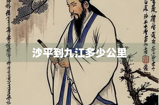 沙平到九江多少公里