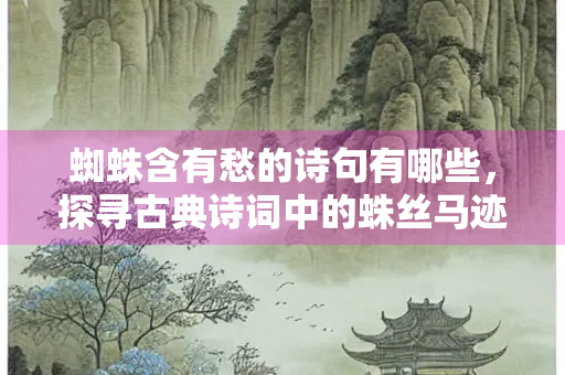 蜘蛛含有愁的诗句有哪些，探寻古典诗词中的蛛丝马迹