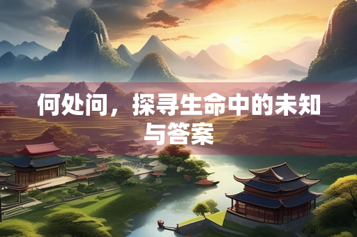 何处问，探寻生命中的未知与答案