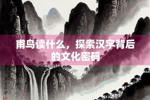 甫鸟读什么，探索汉字背后的文化密码
