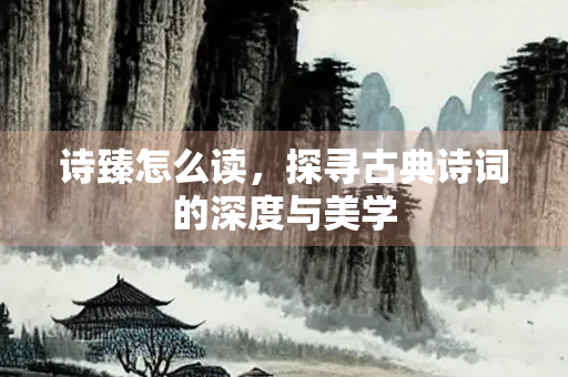诗臻怎么读，探寻古典诗词的深度与美学