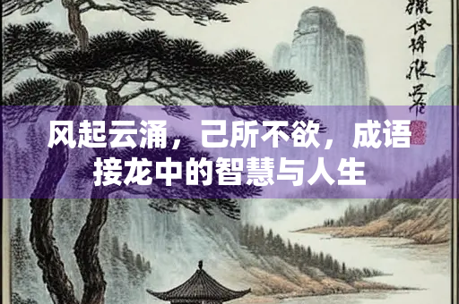 风起云涌，己所不欲，成语接龙中的智慧与人生