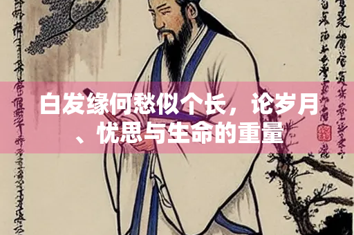 白发缘何愁似个长，论岁月、忧思与生命的重量