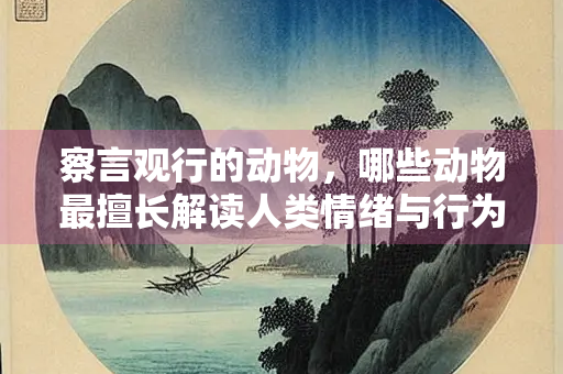 察言观行的动物,哪些动物最擅长解读人类情绪与行为? 察言观行的动物,哪些动物最擅长解读人类情绪与行为?