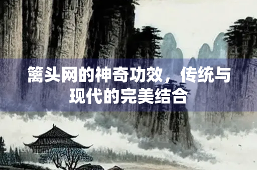 篱头网的神奇功效，传统与现代的完美结合
