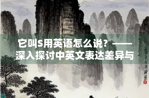 它叫S用英语怎么说？——深入探讨中英文表达差异与翻译技巧