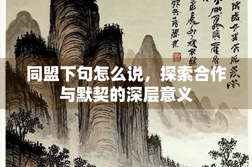 同盟下句怎么说，探索合作与默契的深层意义