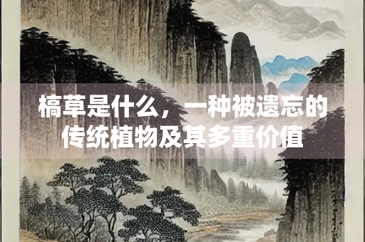 槁草是什么，一种被遗忘的传统植物及其多重价值