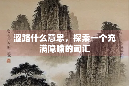 涩路什么意思，探索一个充满隐喻的词汇