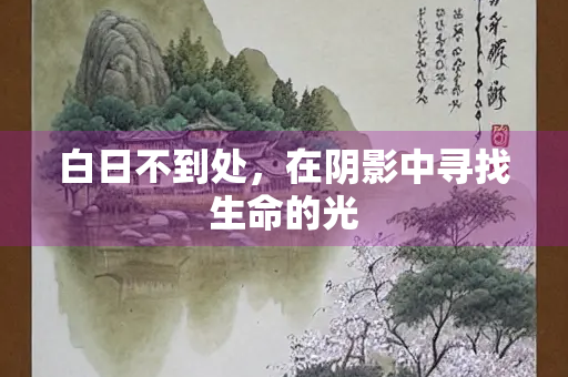 白日不到处，在阴影中寻找生命的光