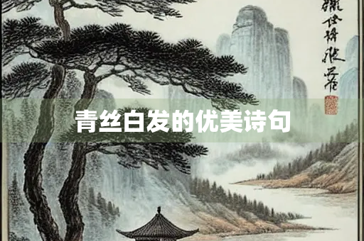 青丝白发的优美诗句