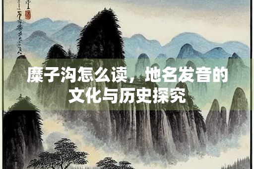 糜子沟怎么读，地名发音的文化与历史探究