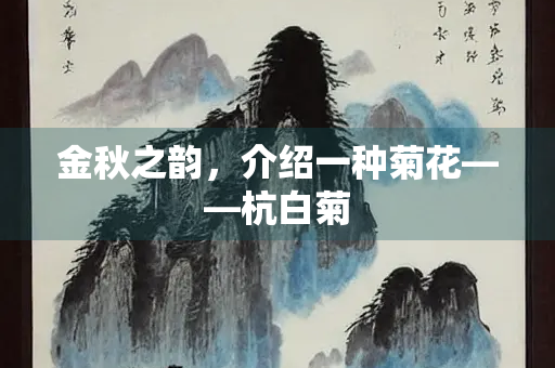 金秋之韵，介绍一种菊花——杭白菊