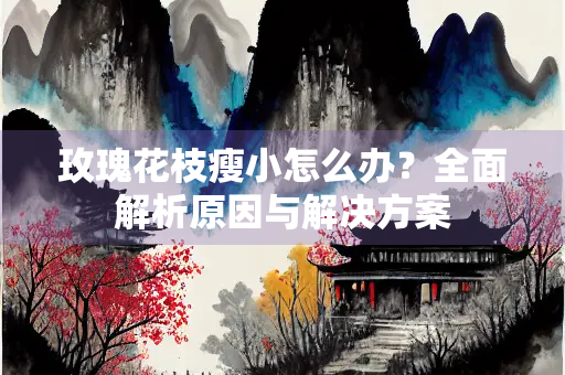 玫瑰花枝瘦小怎么办？全面解析原因与解决方案