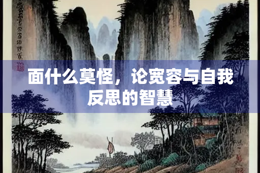 面什么莫怪，论宽容与自我反思的智慧
