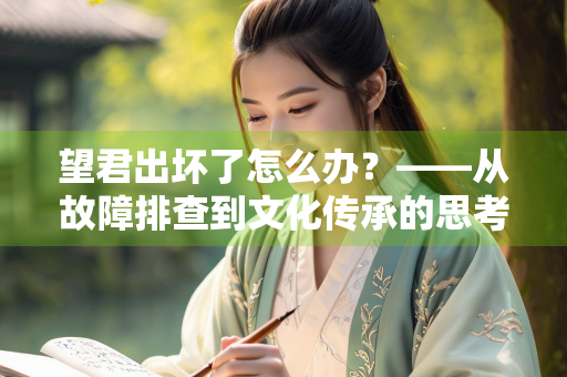 望君出坏了怎么办？——从故障排查到文化传承的思考