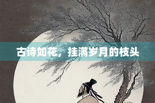 古诗如花，挂满岁月的枝头