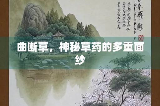 曲断草，神秘草药的多重面纱