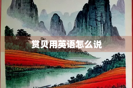 赏贝用英语怎么说