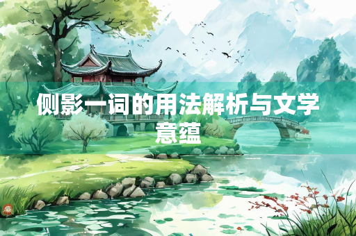 侧影一词的用法解析与文学意蕴