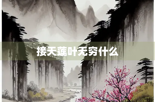 接天莲叶无穷什么