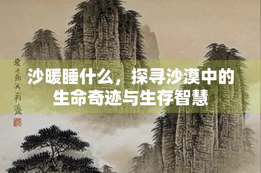 沙暖睡什么，探寻沙漠中的生命奇迹与生存智慧