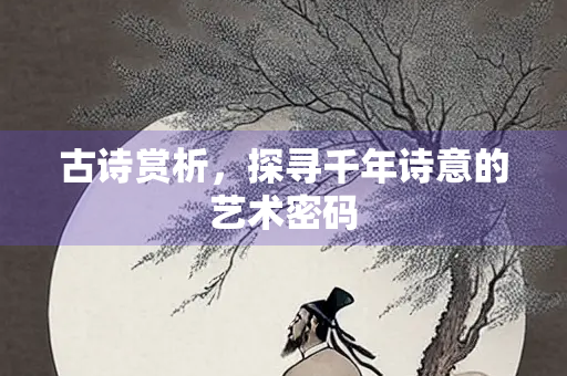 古诗赏析，探寻千年诗意的艺术密码