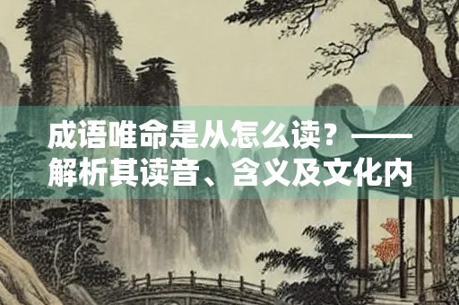 成语唯命是从怎么读？——解析其读音、含义及文化内涵
