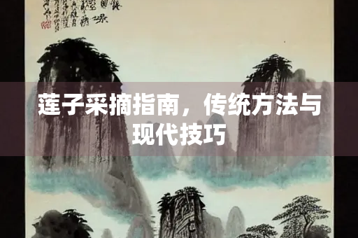 莲子采摘指南，传统方法与现代技巧