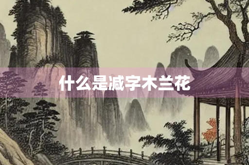 什么是减字木兰花