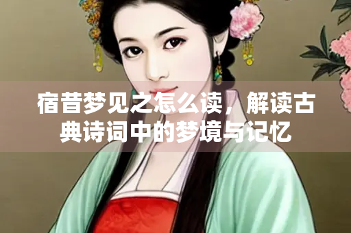 宿昔梦见之怎么读，解读古典诗词中的梦境与记忆